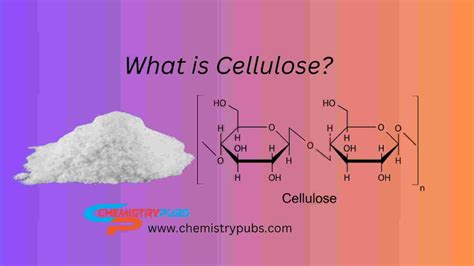 What is a Cellulose molecule? - Chemistrupubs