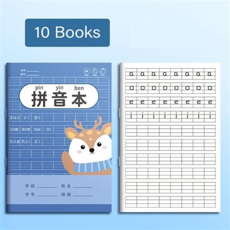 10 Livres F Livre Exercices De Vocabulaire Tian Zige Pinyin Pour