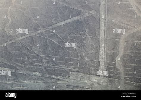 Vista Aérea De Las Líneas De Nazca Loro Geoglifo Perú Las Líneas