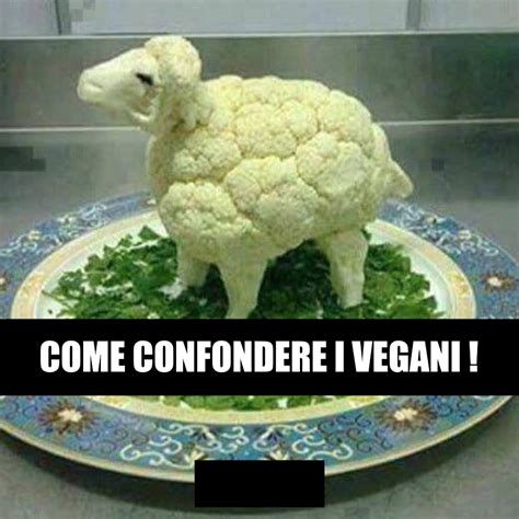 Come Confondere I Vegani Rifleman