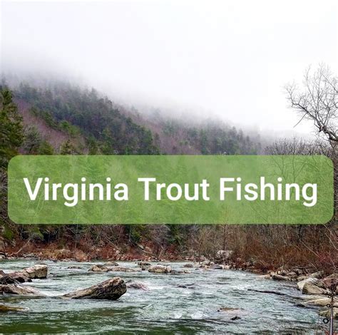 Virginia Trout Fishing