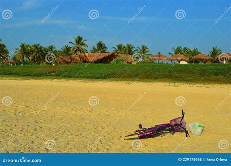 Betalbatim Beach In South Goa India Stock Photo Image Of India