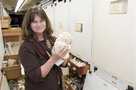 Nancy Knowlton In The Coral Collections Smithsonian Ocean