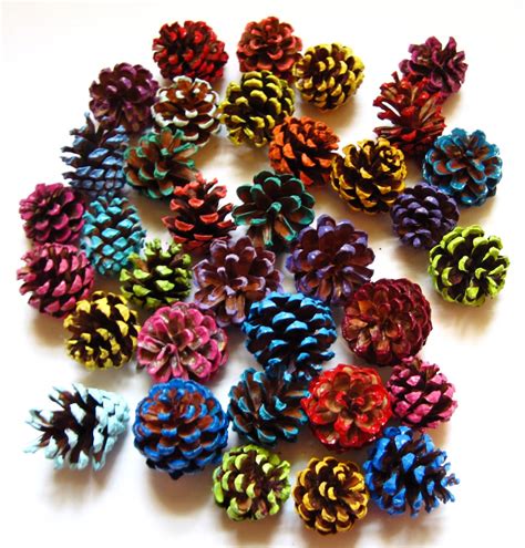 50 Hand Picked Small Painted Pine Cones For Crafting