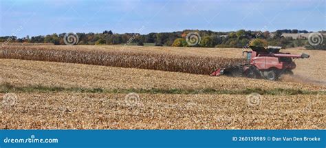 Case Ih 9250 Track Combine Harvesting Corn In Beautiful Northern