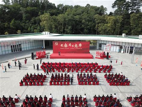 錨定數字發展方向，深圳龍華九大專班齊抓快上 香港商報