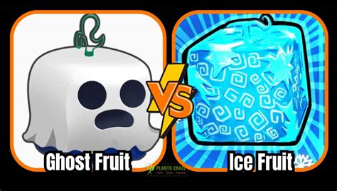 Is Ghost Fruit Better Than Ice Fruit? Guide For Beginners