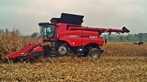 Dwa Giganty W Kukurydzy Kombajny Case IH 9240 I 8240 Na Polach CGFP