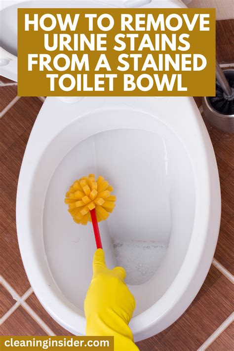 How To Clean Toilet Bowl Stains Using Vinegar Artofit