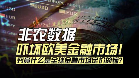 非农数据后欧美金融市场定价的核心矛盾是什么？为什么宏观交易者要紧盯美债实际收益率的走势？（录制于2月6日） Youtube