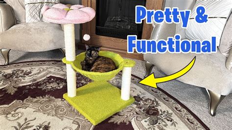 What You Need To Know About This Cat Scratching Post Youtube