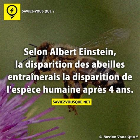 Selon Albert Einstein La Disparition Des Abeilles Entra Nerais La