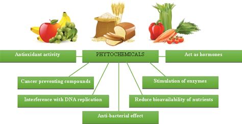 Difference Between Antioxidants And Phytochemicals Compare The