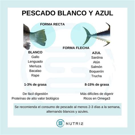 Diferencia Entre El Pescado Blanco Y Azul Nutri Healthy Food Items