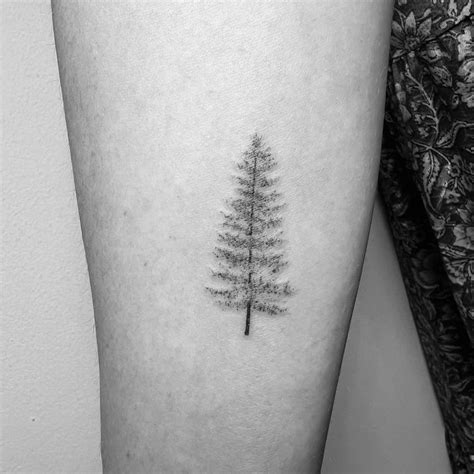 Single Needle Pine Tree Tattoo Located On The Inner