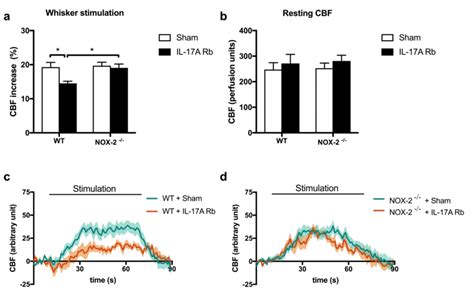 Nox 2 Depletion Prevents Il 17a Induced Neurovascular Coupling