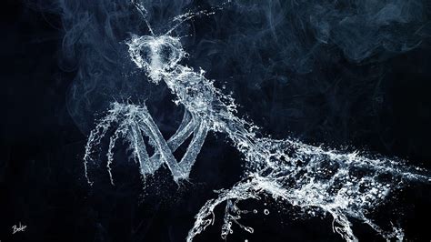 The Figure Of A Praying Mantis From The Water And HD Wallpaper Pxfuel