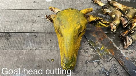 Goat Head Cutting Skills Amazing Goat Head Cleaning And Cutting Village Cutting Skills Youtube