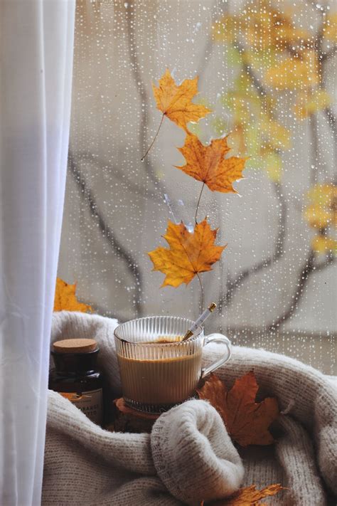 Cup of Coffee on a Rainy Day · Free Stock Photo