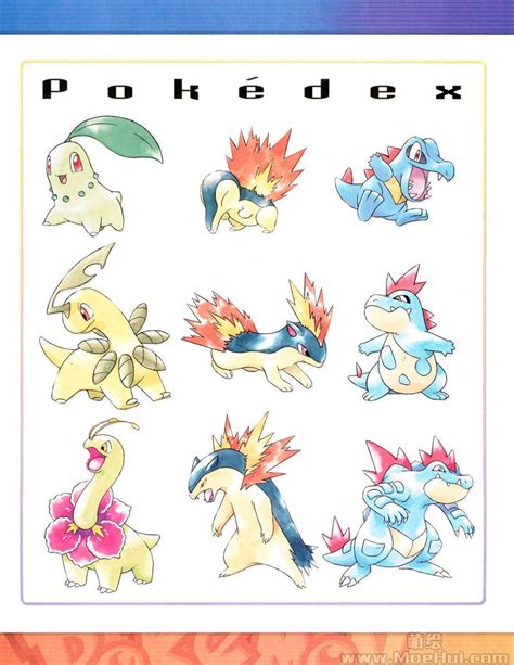 Pokemon Gold And Silver Guide P