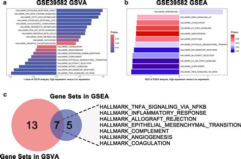 Gene Set Variation Analysis Gsva And Gene Set Enrichment Analysis Download Scientific Diagram