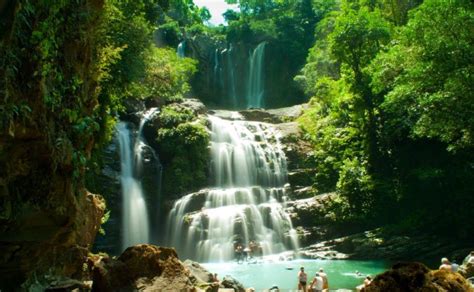 Conozca El Parque Nacional Marino Ballena Costa Rica Te Enamora