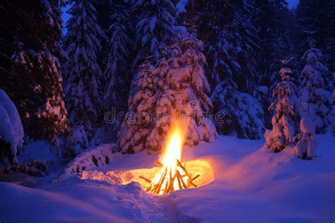 Bonfire In The Winter Forest Illuminates The Snow Stock Image Image