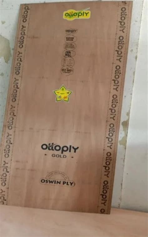 Mm Oswin Ply Ottoply Gold Plywood For Furniture At Rs Sheet In