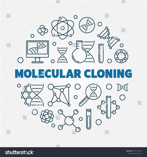 Molecular Cloning Vector Concept