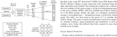 Brief Overview Of Proton Beam Delivery And Control System Concept Used Download Scientific