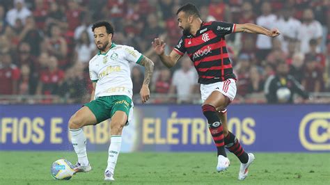 Palmeiras e Flamengo terá Allianz Parque capacidade reduzida