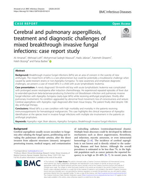 Pdf Cerebral And Pulmonary Aspergillosis Treatment And Diagnostic