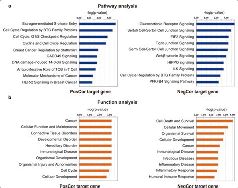 Enrichment Of Different Canonical Pathways And Functions In Genes With Download Scientific