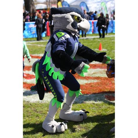 Seahawks Lightweight Mascot Costume | Mascot, Mascot costumes, Cartoon mascot costumes