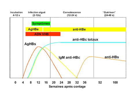 Figure 1 from Aspects cliniques et épidémiologiques des infections à