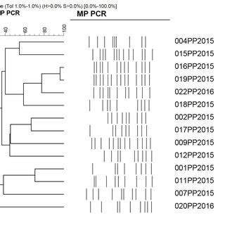 Differentiation of 14 potentially pathogenic E. coli strains using ...