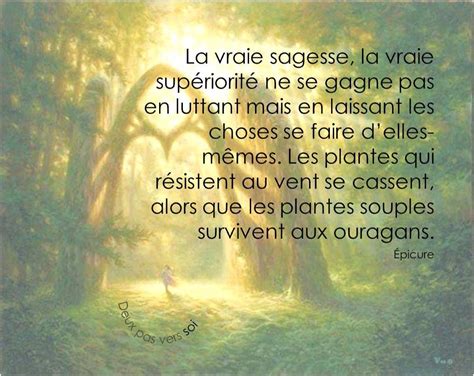 La Vraie Sagesse Sagesse Belles Citations Citation