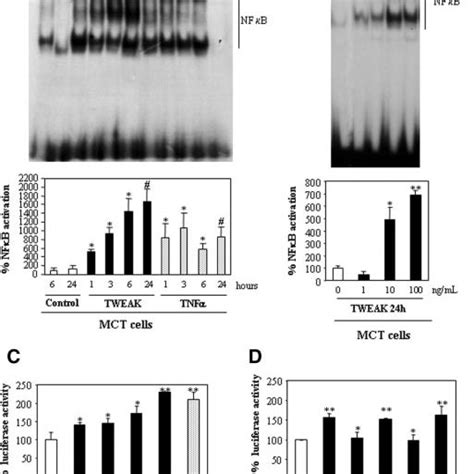 Parthenolide Prevents Tweak Induced Proinflammatory Effects In Tubular