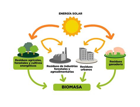 Biomasa Ecosistemas Tecnolog As