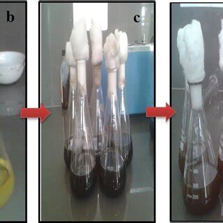 Production of biosurfactants a Luria broth before inoculation b Luria ...