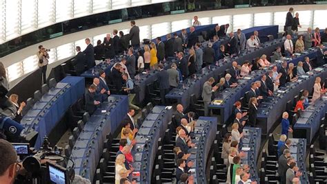 Brexit Party Meps Instinctively Turn Away As Strasbourg Waitresses