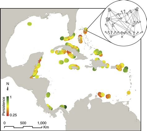 Persistence map of the Caribbean coral reef food webs. Each point ...