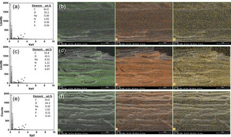 Elemental Composition By Sem Eds Analysis With Sem Secondary Electron