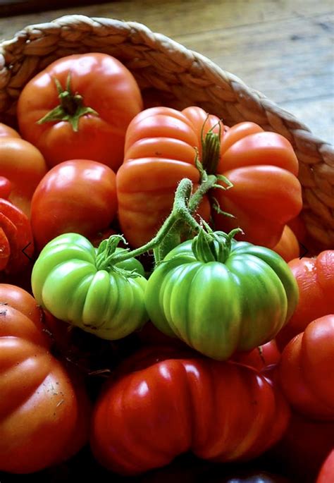 9 Amazing Tomatoes To Grow In 2024 — Salisbury Grange