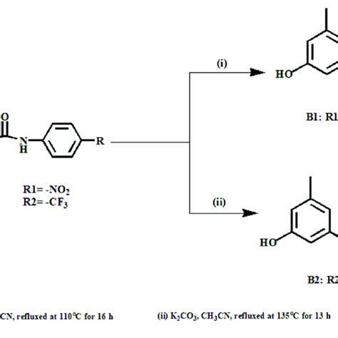 Scheme The Synthesis Of Compounds B And B Scheme The Synthesis