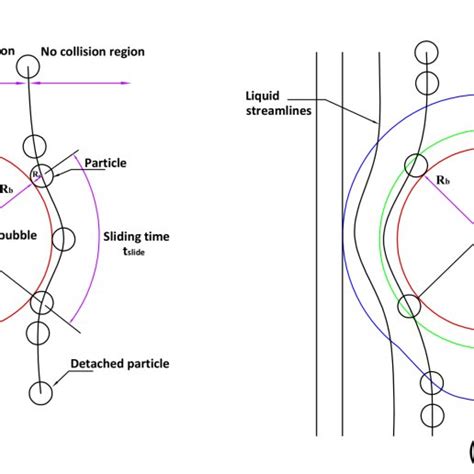 A Schematic Of The Bubble Particle Collision Attachment And