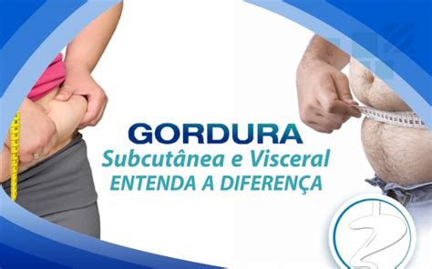 Gordura Subcutânea E Visceral Enten Cad Dr Zardo