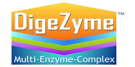 Digezyme Mg Digestive Enzymes Hsn