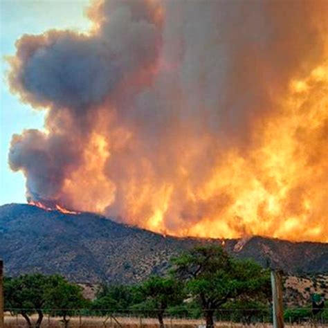 Onemi Hace Balance De Incendios Forestales Que Afectan Al País Nueve