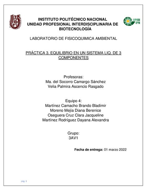 Informe Equilibrio De Sistemas De Componentes Eq Av Instituto